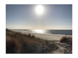 Blick vom Deich auf Strand