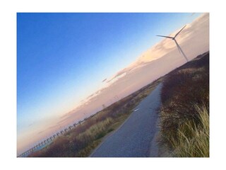 Vakantiehuis Kamperland Omgeving 34