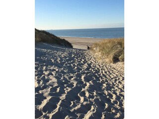 Vakantiehuis Kamperland Omgeving 31