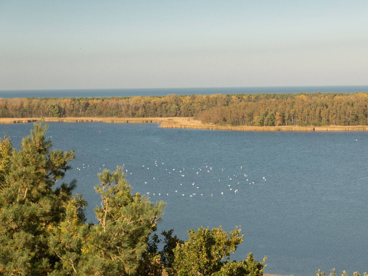 Aussichtsturm Barhöft