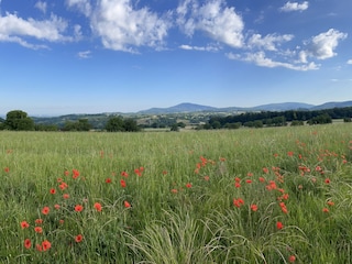 Blick aufs Auerbacher Schloss und Melibokus