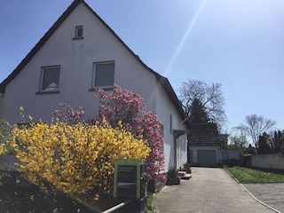 Moderne, große FeWo & Parkplatz vor dem Haus