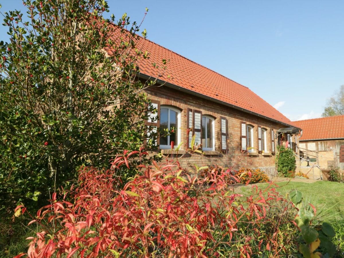 Ferienhaus Buchholz bei Röbel Außenaufnahme 1