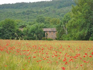 Bed & Breakfast Grimaud  18