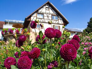 Ferienwohnung Winzerhof-Walter - Oberkirch - image1