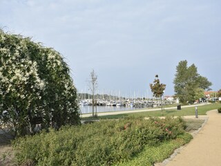 Apartment Rerik Umgebung 22