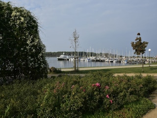 Apartment Rerik Environment 31