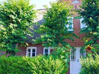 Ferienwohnung Wyk auf Föhr Ausstattung 19