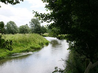 Casa per le vacanze Saint-Aubin-le-Cauf Ambiente 18