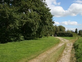 Casa per le vacanze Saint-Aubin-le-Cauf Ambiente 17