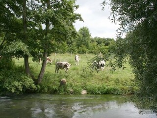 Casa per le vacanze Saint-Aubin-le-Cauf Ambiente 19