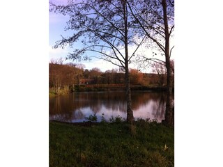 Casa per le vacanze Saint-Aubin-le-Cauf Documento 21