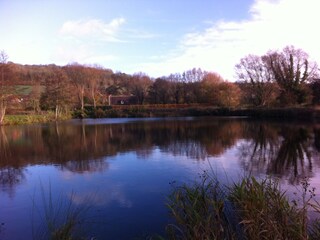 Casa per le vacanze Saint-Aubin-le-Cauf Documento 22