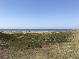 Düne vor der Terrasse