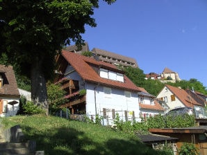 Ferienwohnung "Vogesenblick" - Breisach - image1