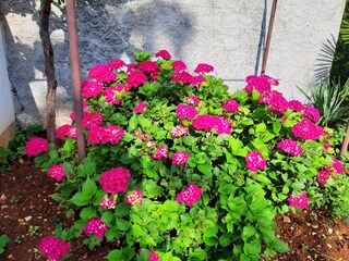 Casa per le vacanze Barban Ambiente 29