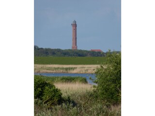 Auf dem Weg zum Leuchtturm: Natur pur, Südstrandpolder