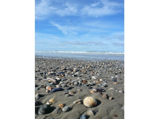 Immer wieder neue Perspektiven am Strand