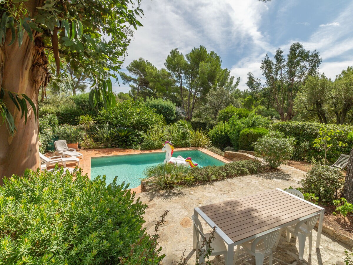 Villa Les Eucalyptus, BormeslesMimosas, Firma CAP Holiday homes Frau Caroline Pollet