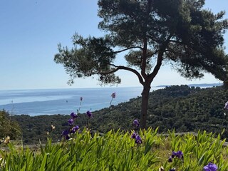 Villa Bormes-les-Mimosas Umgebung 29