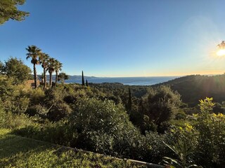 Villa Bormes-les-Mimosas Umgebung 37