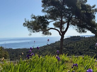 Villa Bormes-les-Mimosas Umgebung 39