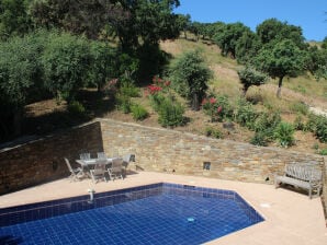 Villa Valanvi (6p) with pool at Bormes-les-Mimosas - Bormes-les-Mimosas - image1