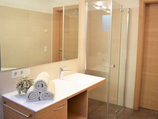 Appartamento per vacanze Burgstall Caratteristiche 10