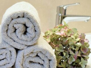 Appartamento per vacanze Burgstall Caratteristiche 11