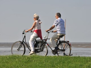 Ferienhaus Juist Umgebung 62