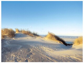 Ferienhaus Juist Umgebung 56