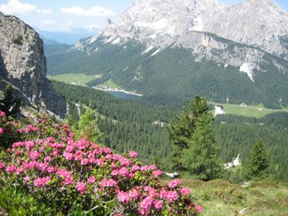 Appartamento per vacanze Niederdorf Registrazione all'aperto 9