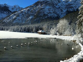 Appartamento per vacanze Niederdorf Ambiente 39