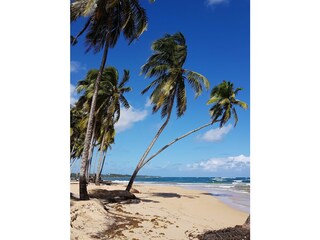 Apartamento de vacaciones Punta Cana Entorno 10