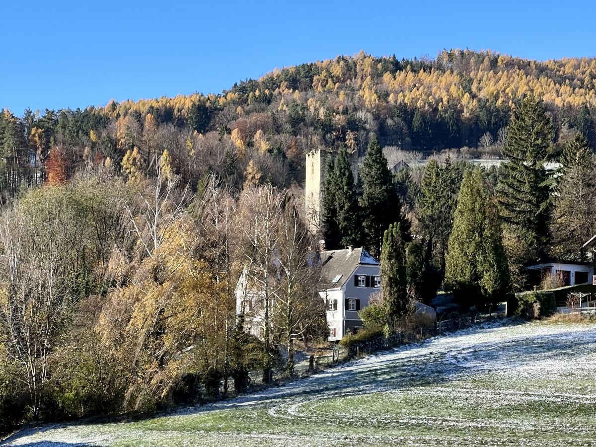 Ferienhaus Naas Außenaufnahme 1