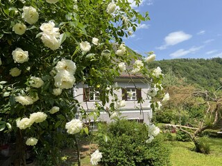 Villa Naas Outdoor Recording 12