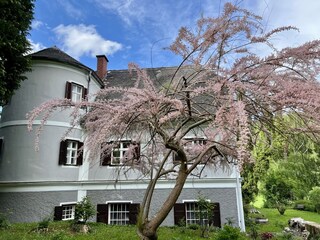 Villa Naas Außenaufnahme 1