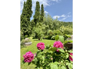 Villa Naas Buitenaudio-opname 9