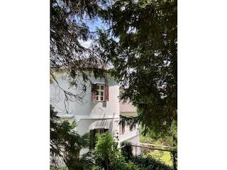 Villa Naas Outdoor Recording 10