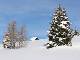 Winter am Falkert