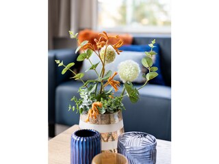 Bungalow Buren Caratteristiche 9