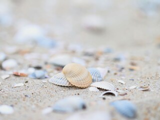 Bungalow Buren Ambiente 20