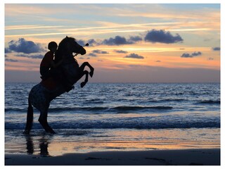 Bungalow Buren Ambiente 21