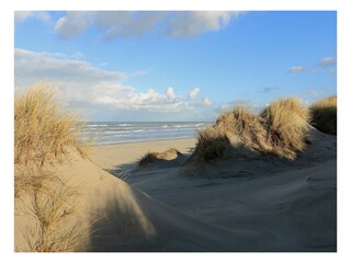 Bungalow Buren Ambiente 22