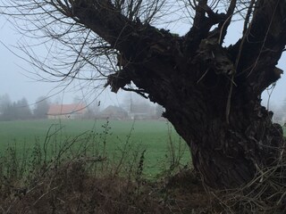 Casa per le vacanze Ketzin Ambiente 30