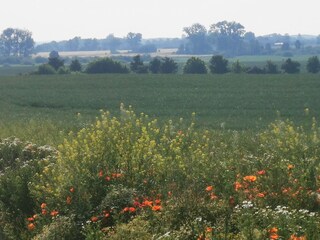 Casa per le vacanze Ketzin Ambiente 32