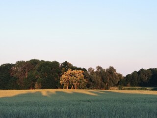 Casa per le vacanze Ketzin Ambiente 34