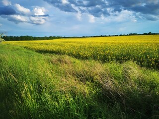 Casa per le vacanze Ketzin Ambiente 36