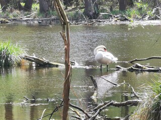 Casa per le vacanze Ketzin Ambiente 39