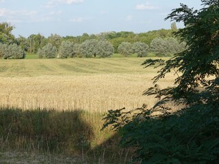 Casa de vacaciones Ketzin Grabación al aire libre 8